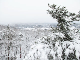 101229_05.jpg 101229_05.jpg