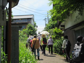 101296_05.jpg 101296_05.jpg