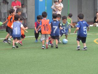 101343_04.jpg 101343_04.jpg