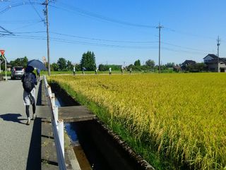 101374_08.jpg 101374_08.jpg