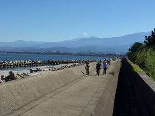 101374_11.jpg 101374_11.jpg