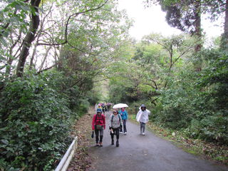 101408_04.jpg 101408_04.jpg