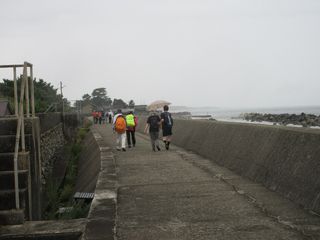 101664_05.jpg 101664_05.jpg