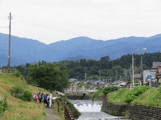 101863_06.jpg 101863_06.jpg