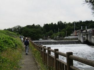 101863_07.jpg 101863_07.jpg