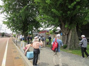 102505_05.jpg