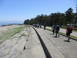 102963_06.jpg