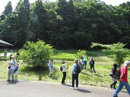 102968_04.jpg