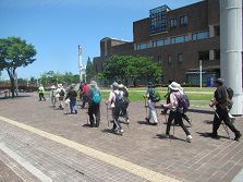 102974_04.jpg