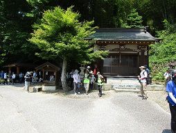 103487_04.jpg