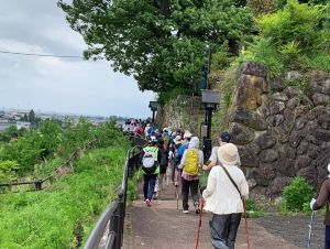 103568_04.jpg 103568_04.jpg