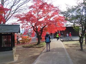 103620_02.jpg 103620_02.jpg