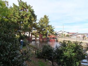 103620_04.jpg 103620_04.jpg