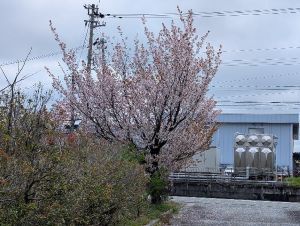 103794_01.jpg